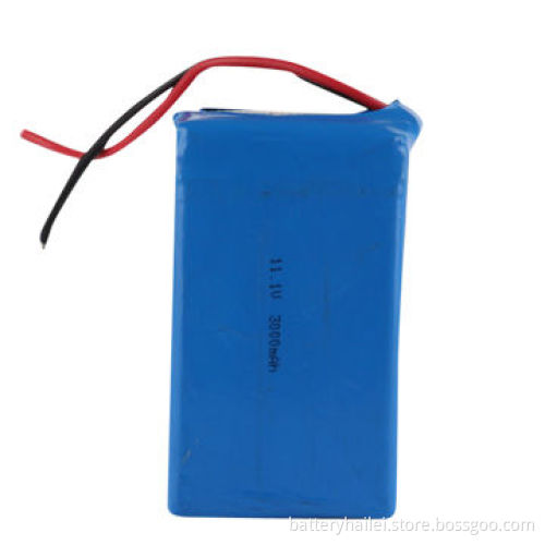 Polymer Li-ion Battery Packs with 11.1V Voltage and 3,000mAh Capacity, Suitable for GSP